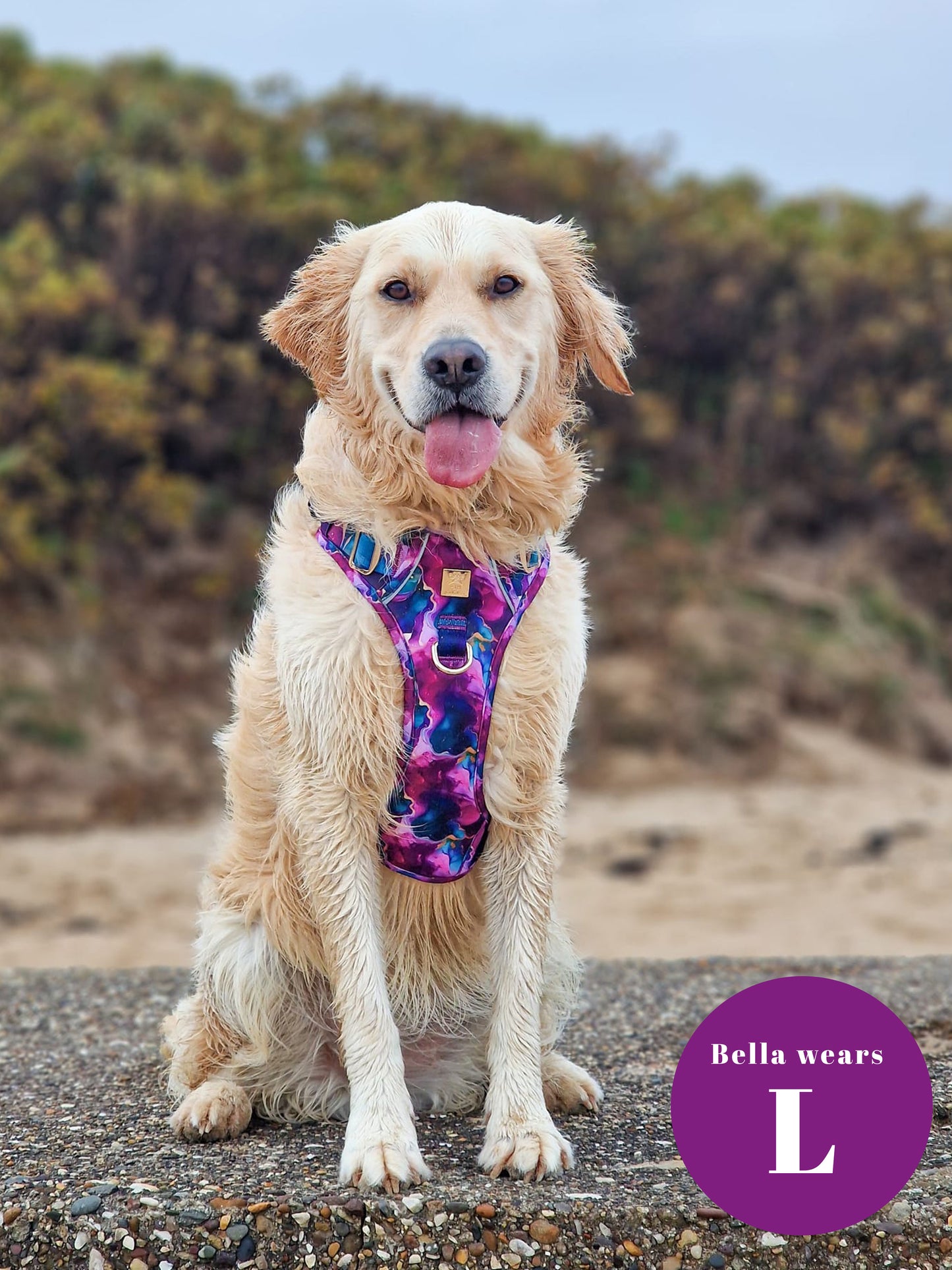Cosmos Deluxe Five Piece Walkies Bundle - Save £20