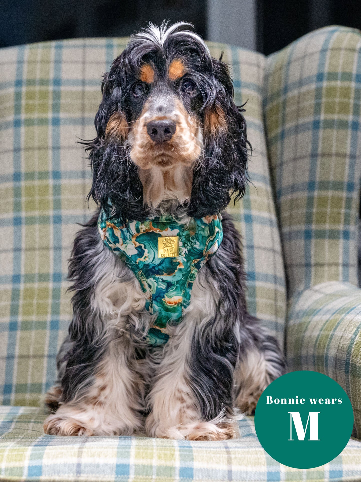 Geode Deluxe Adjustable Harness