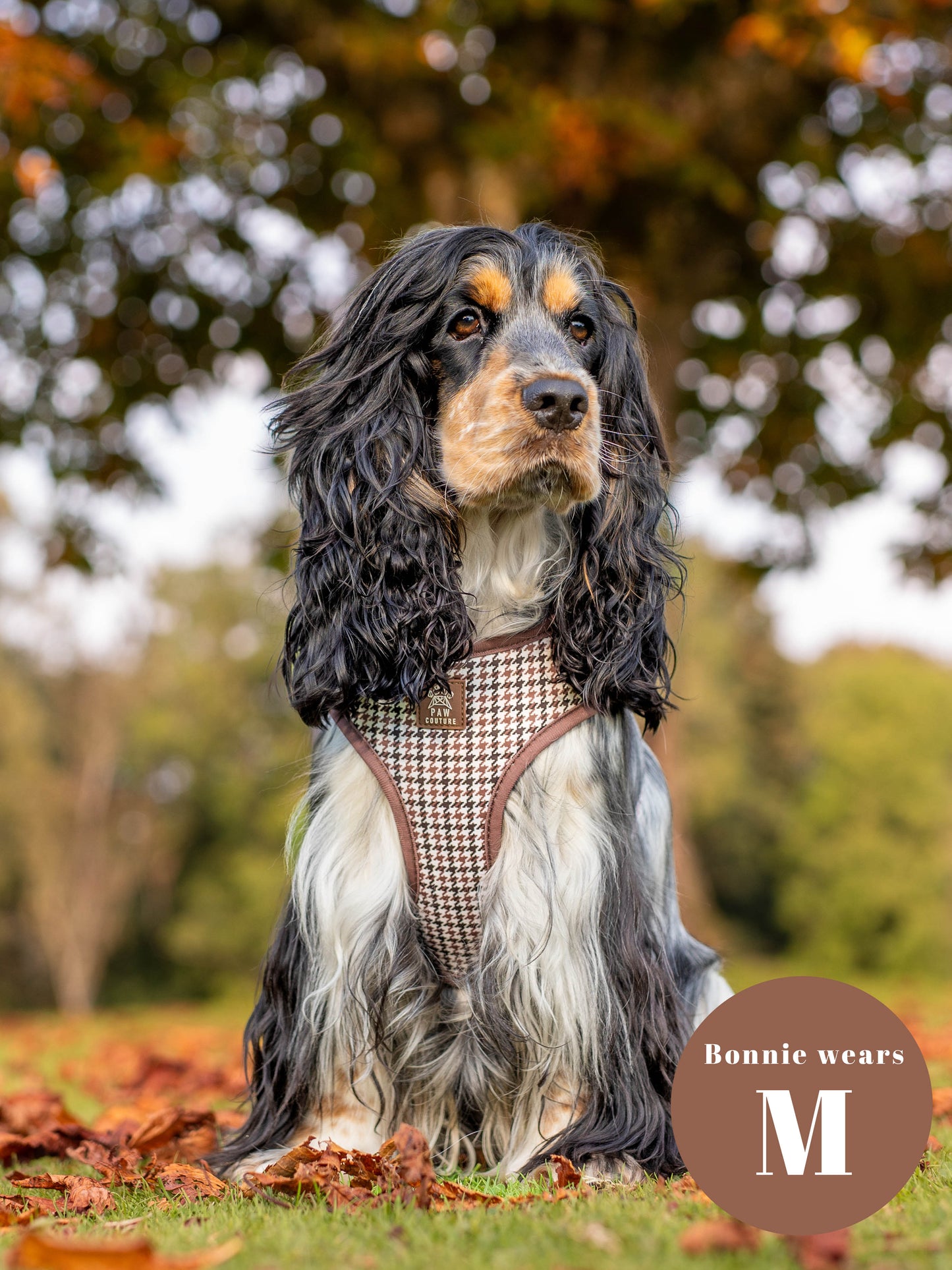 Country Houndstooth Adjustable Harness & Lead Bundle
