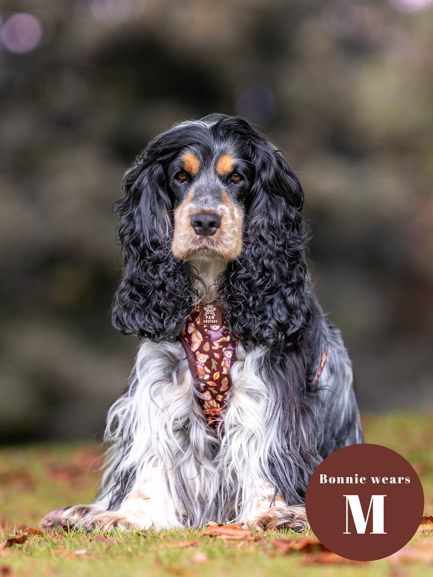 Forest Friends Five Piece Walkies Bundle - Save £20