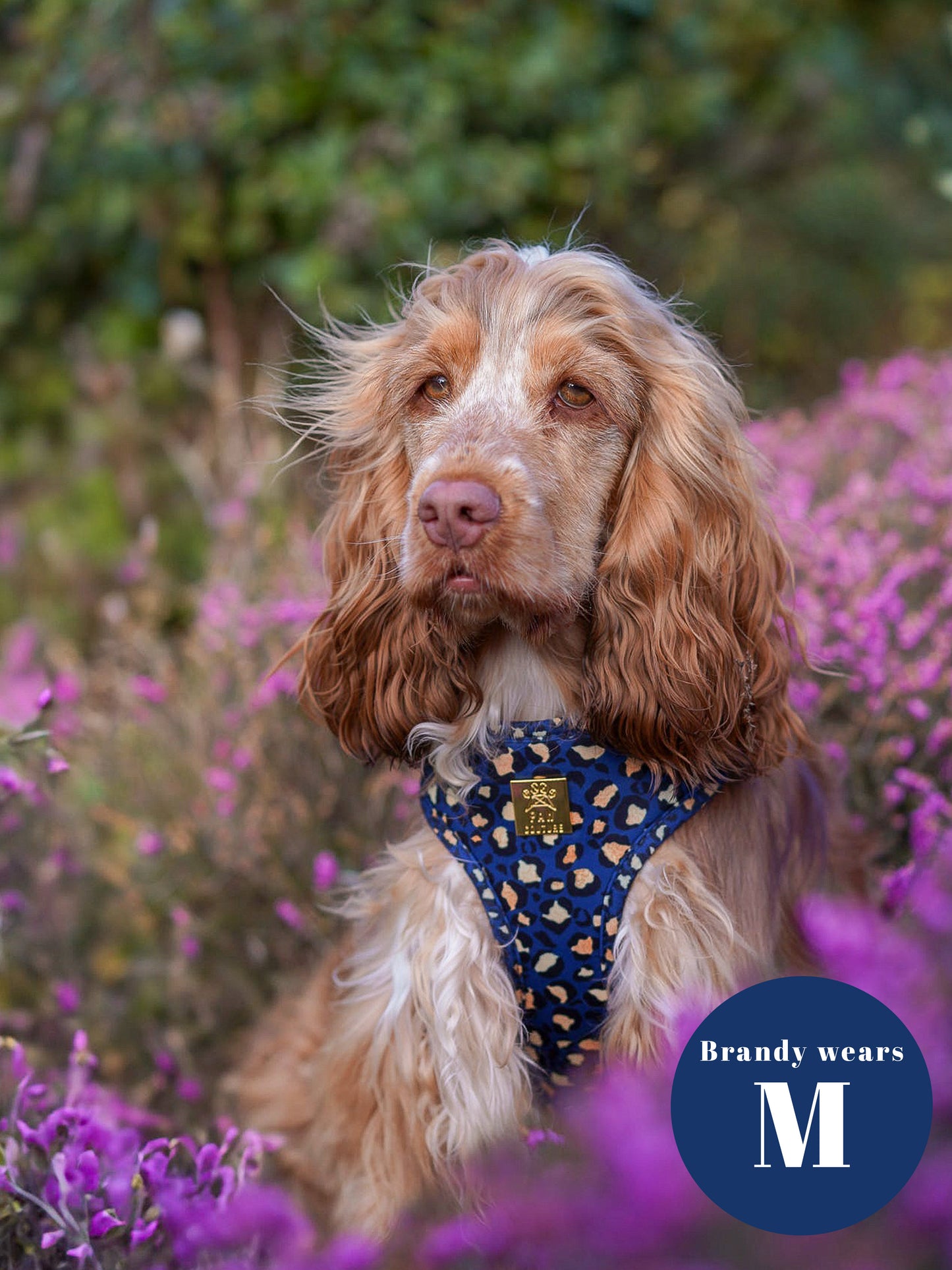 Sapphire Safari Deluxe Five Piece Walkies Bundle - Save £20