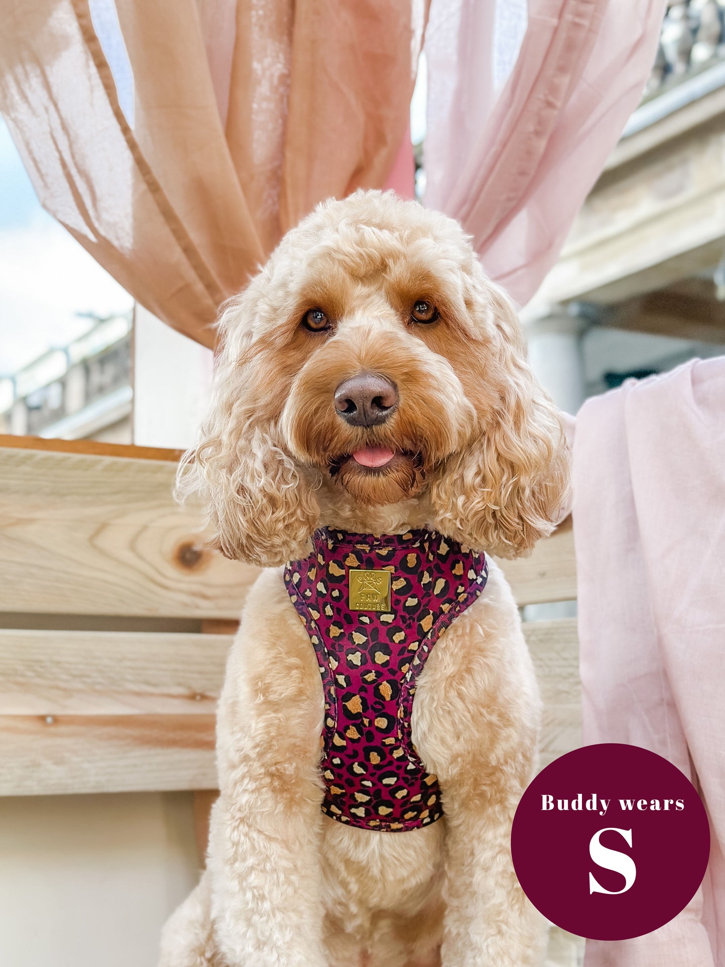 Amethyst Safari Deluxe Adjustable Harness