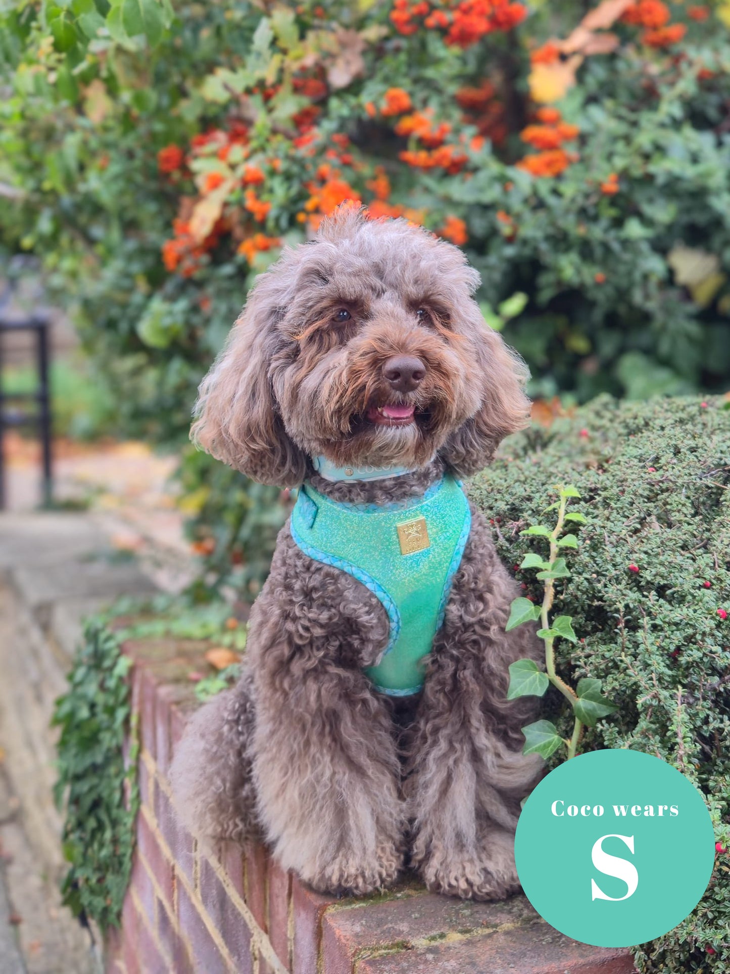 Fantasy Deluxe Five Piece Walkies Bundle - Save £20