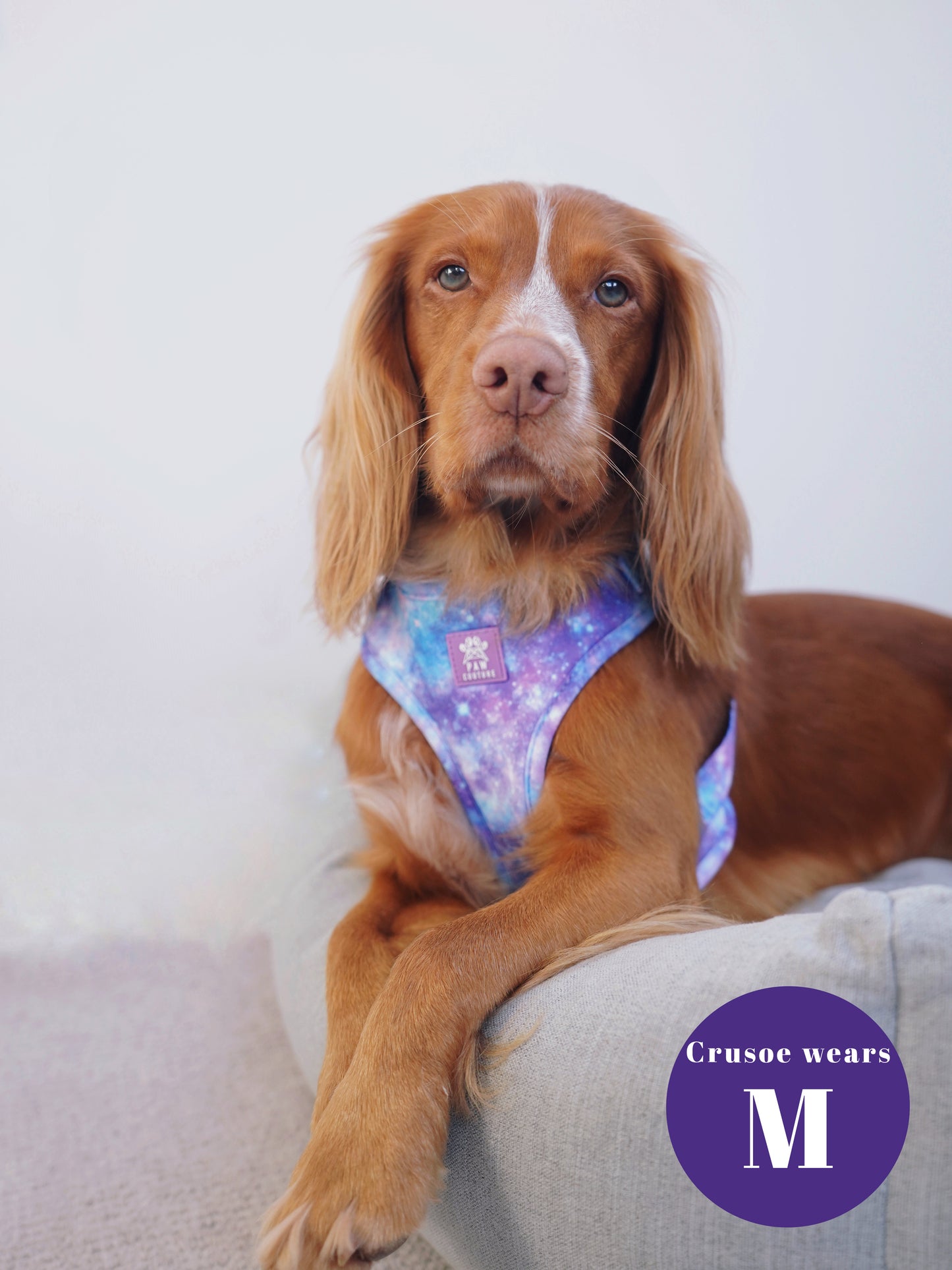 Galaxy Five Piece Walkies Bundle - Save £25