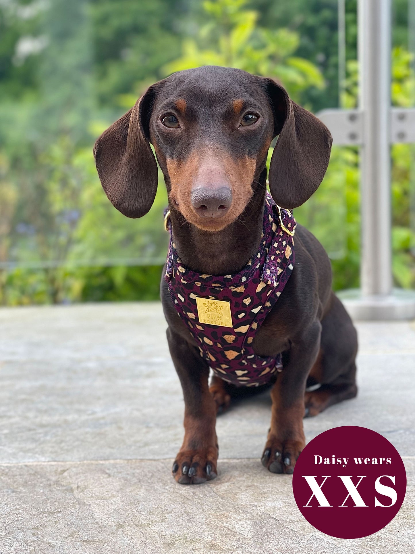 Amethyst Safari Deluxe Adjustable Harness