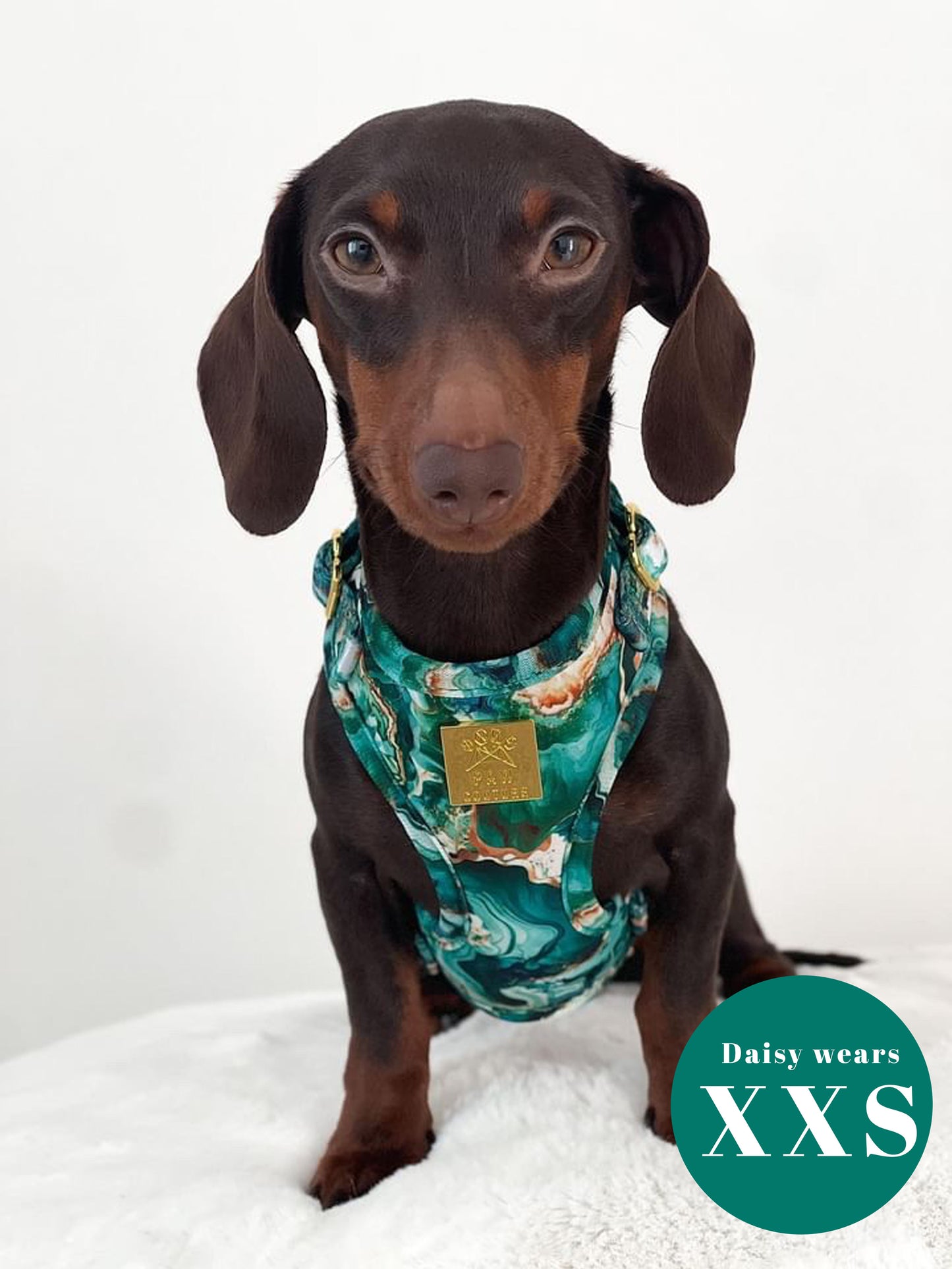Geode Deluxe Five Piece Walkies Bundle - Save £20