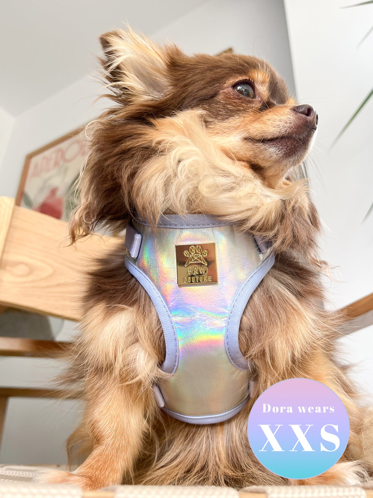 Disco Deluxe Iridescent Leatherette Adjustable Harness & Lead Bundle