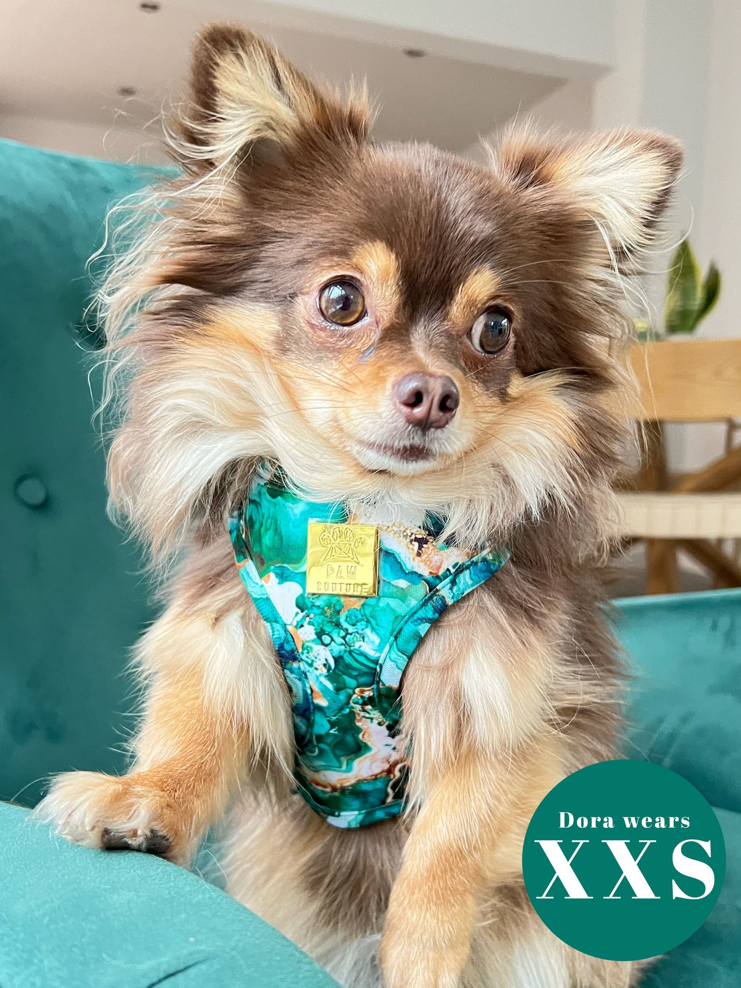 Geode Deluxe Adjustable Harness