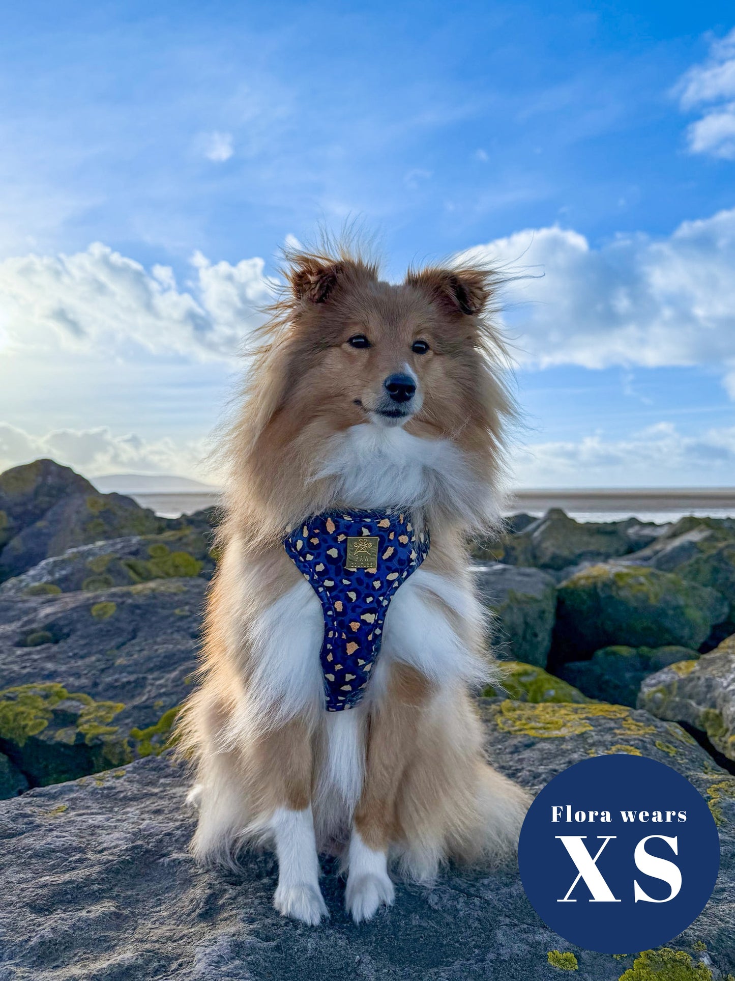 Sapphire Safari Deluxe Five Piece Walkies Bundle - Save £20