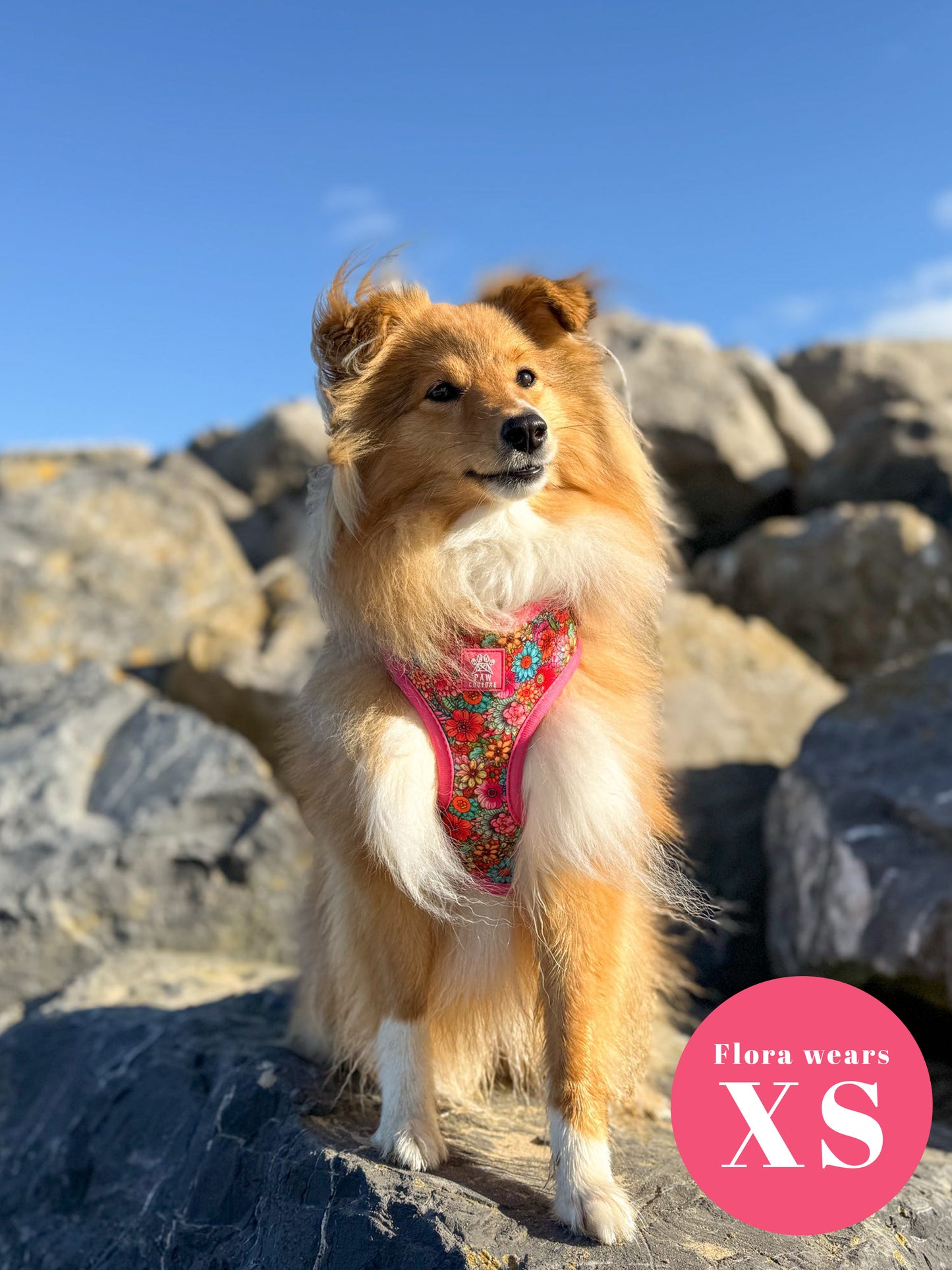 Floral Fiesta Adjustable Harness & Lead Bundle