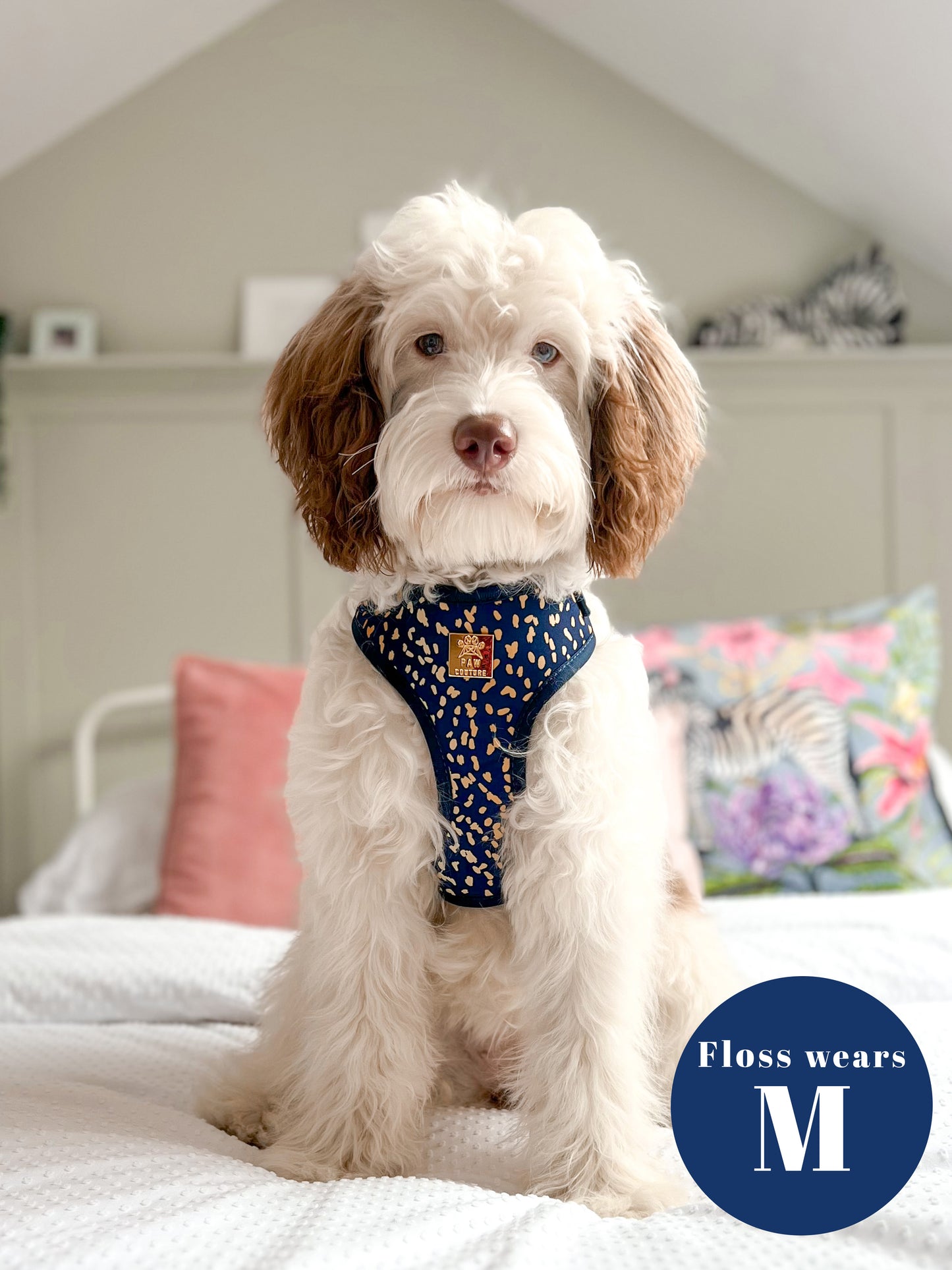 Golden Confetti Deluxe Adjustable Harness & Lead Bundle