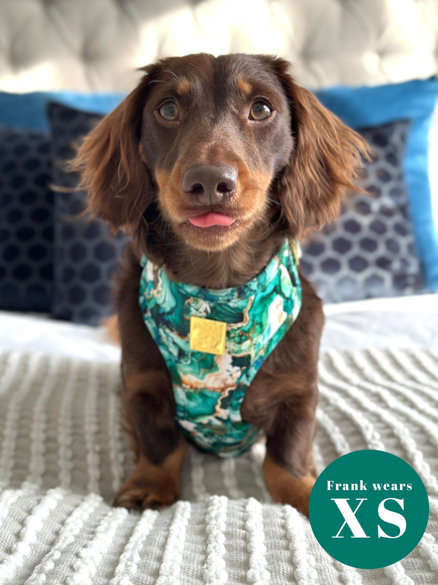 Geode Deluxe Adjustable Harness