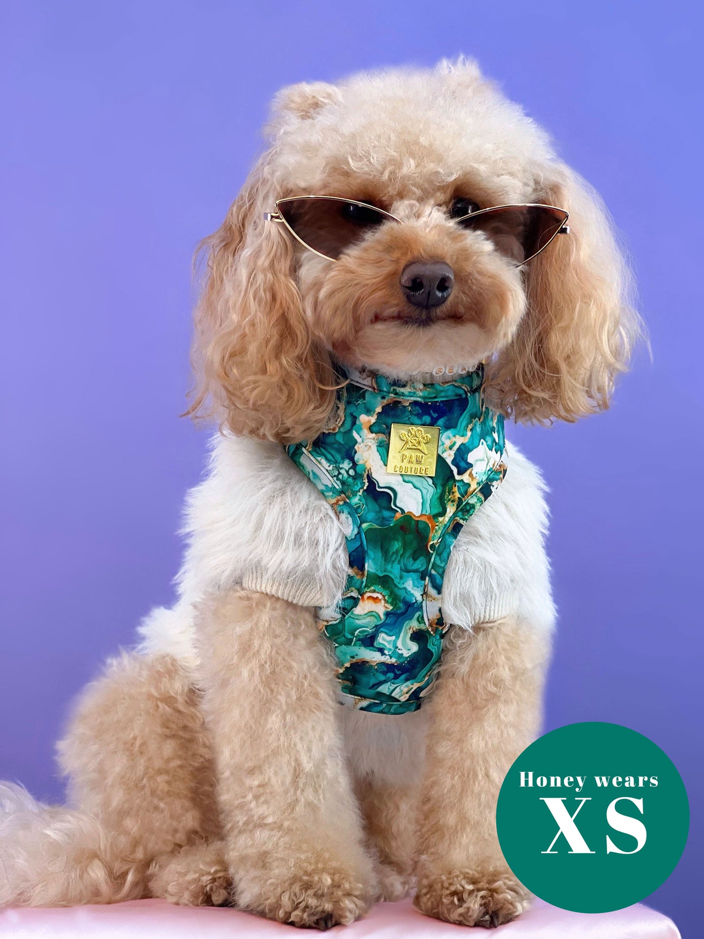 Geode Deluxe Adjustable Harness