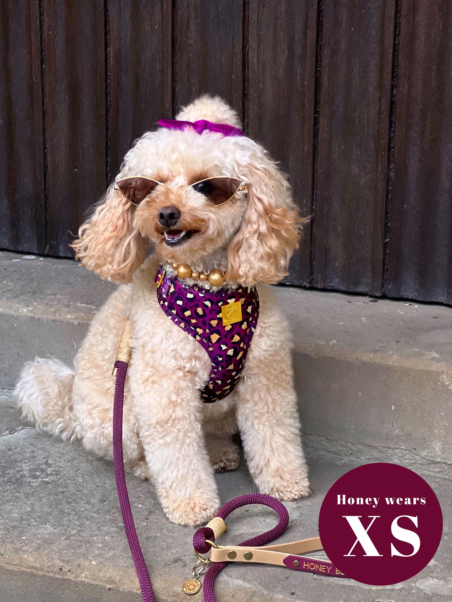 Amethyst Safari Deluxe Adjustable Harness