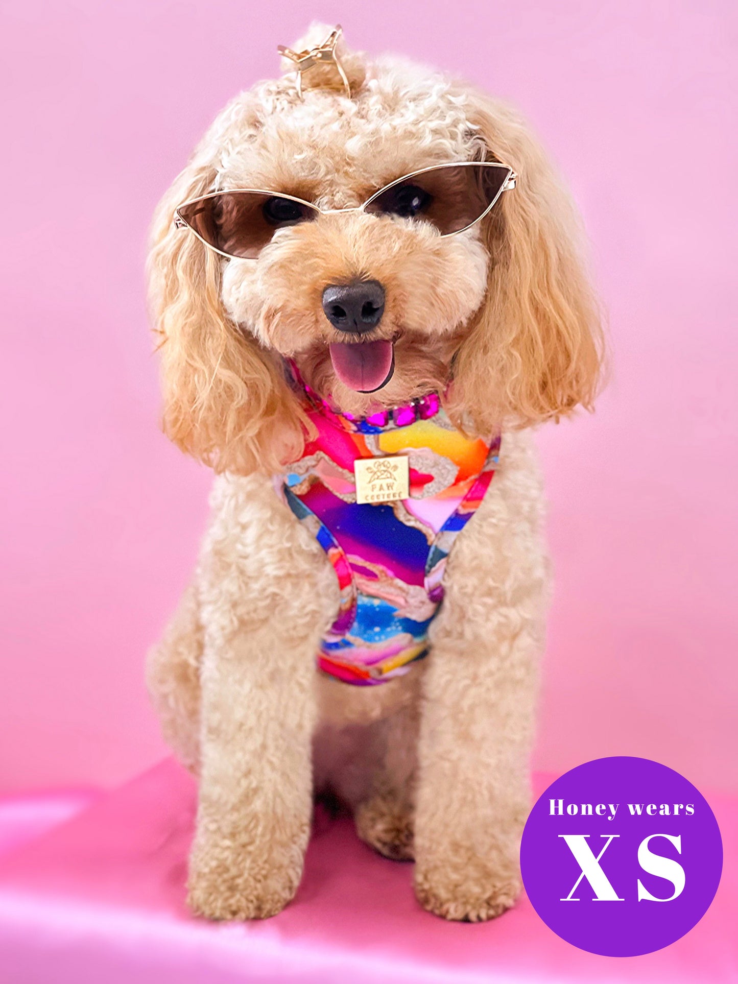 Rainbow Agate Deluxe Adjustable Harness