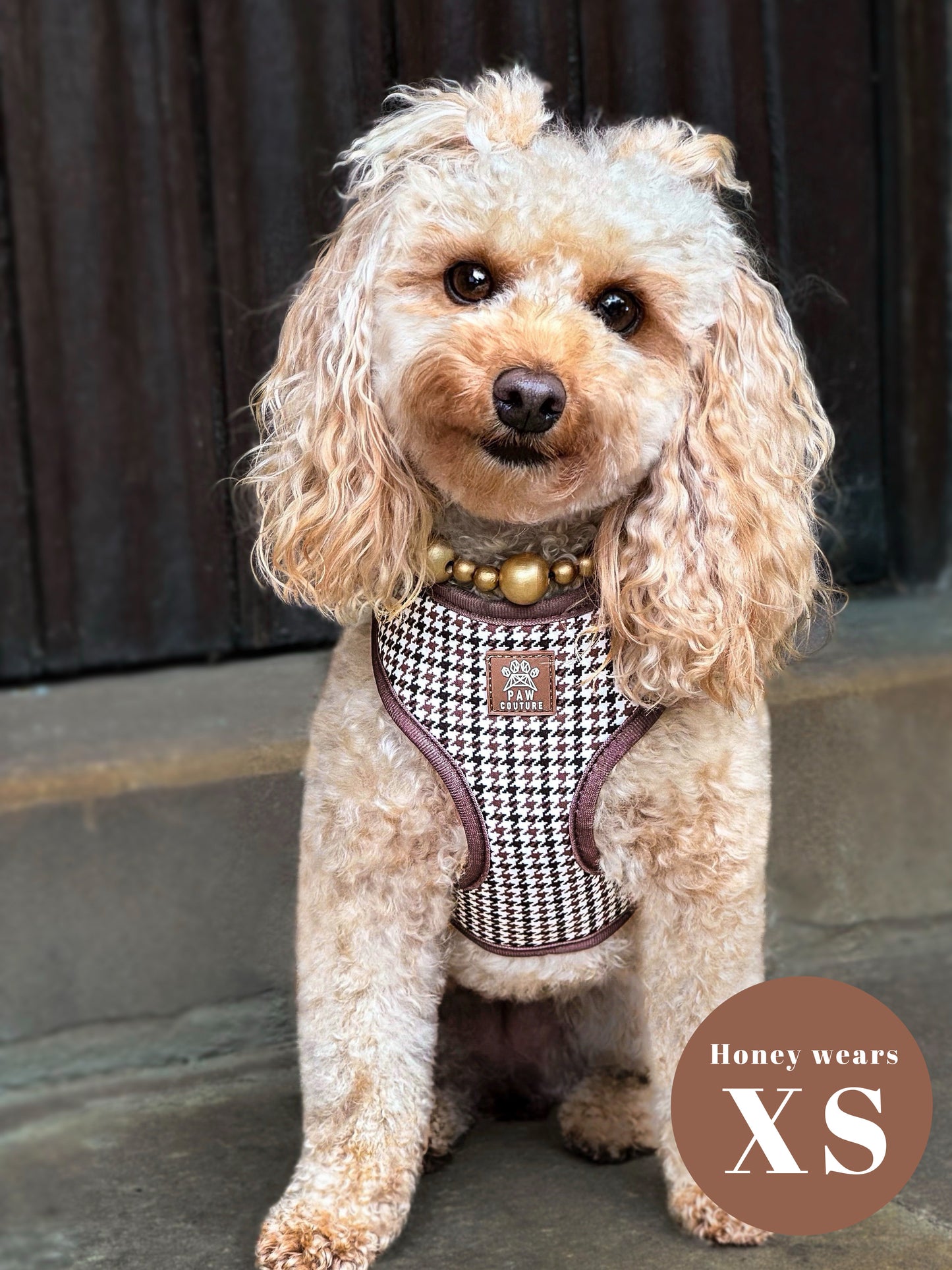 Country Houndstooth Adjustable Harness & Lead Bundle