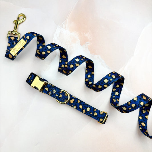 Sapphire Safari Deluxe  - Collar & Lead Bundle