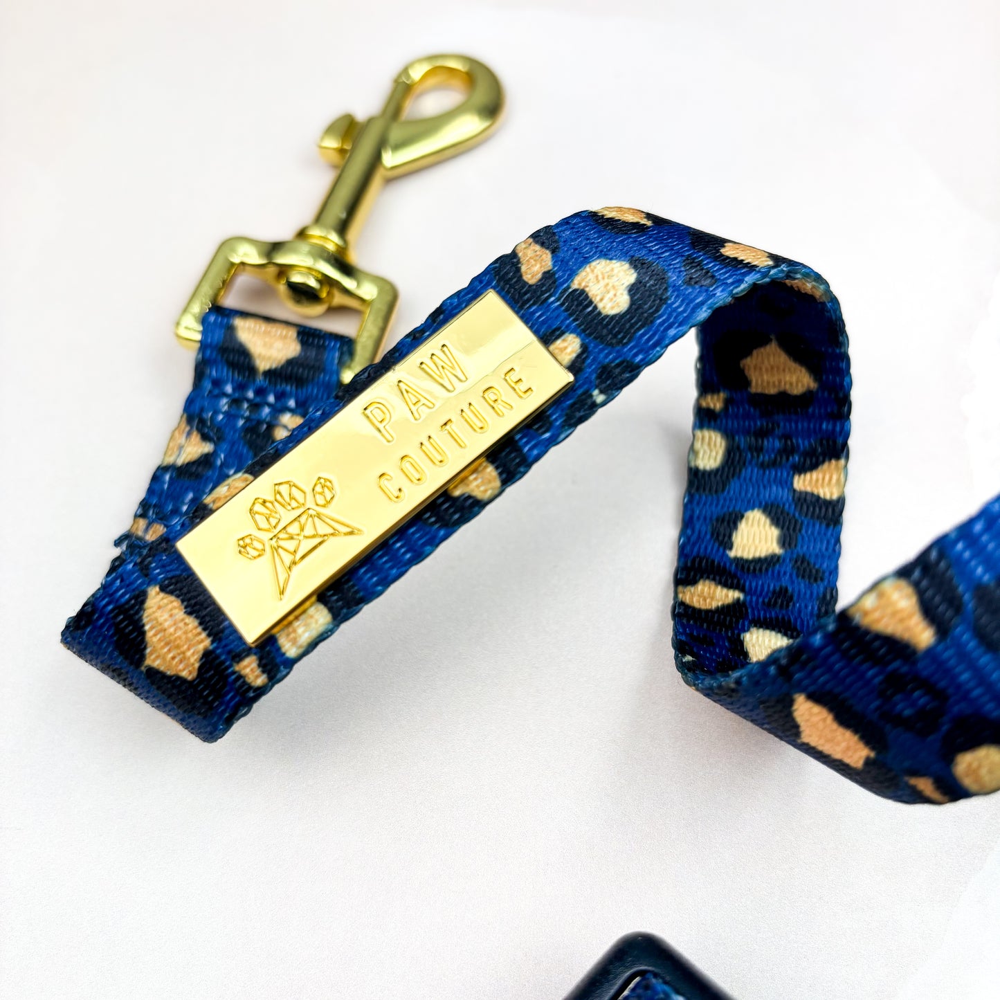 Sapphire Safari Deluxe - Collar & Lead Bundle