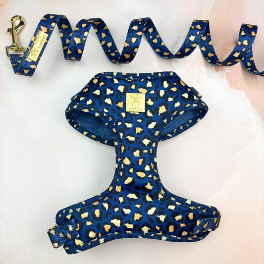 Sapphire Safari Deluxe Adjustable Harness & Lead Bundle
