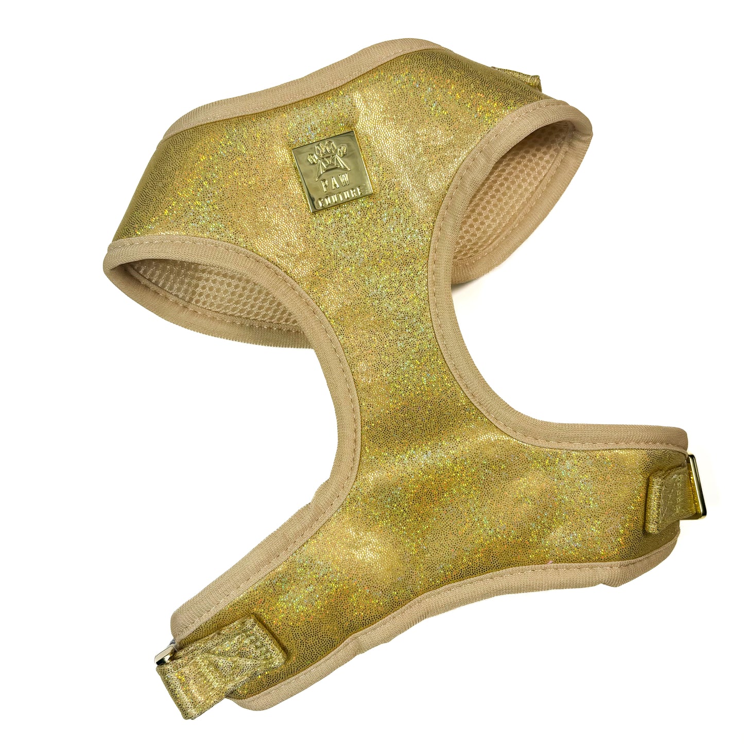 Champagne Party Deluxe Adjustable Harness & Lead Bundle