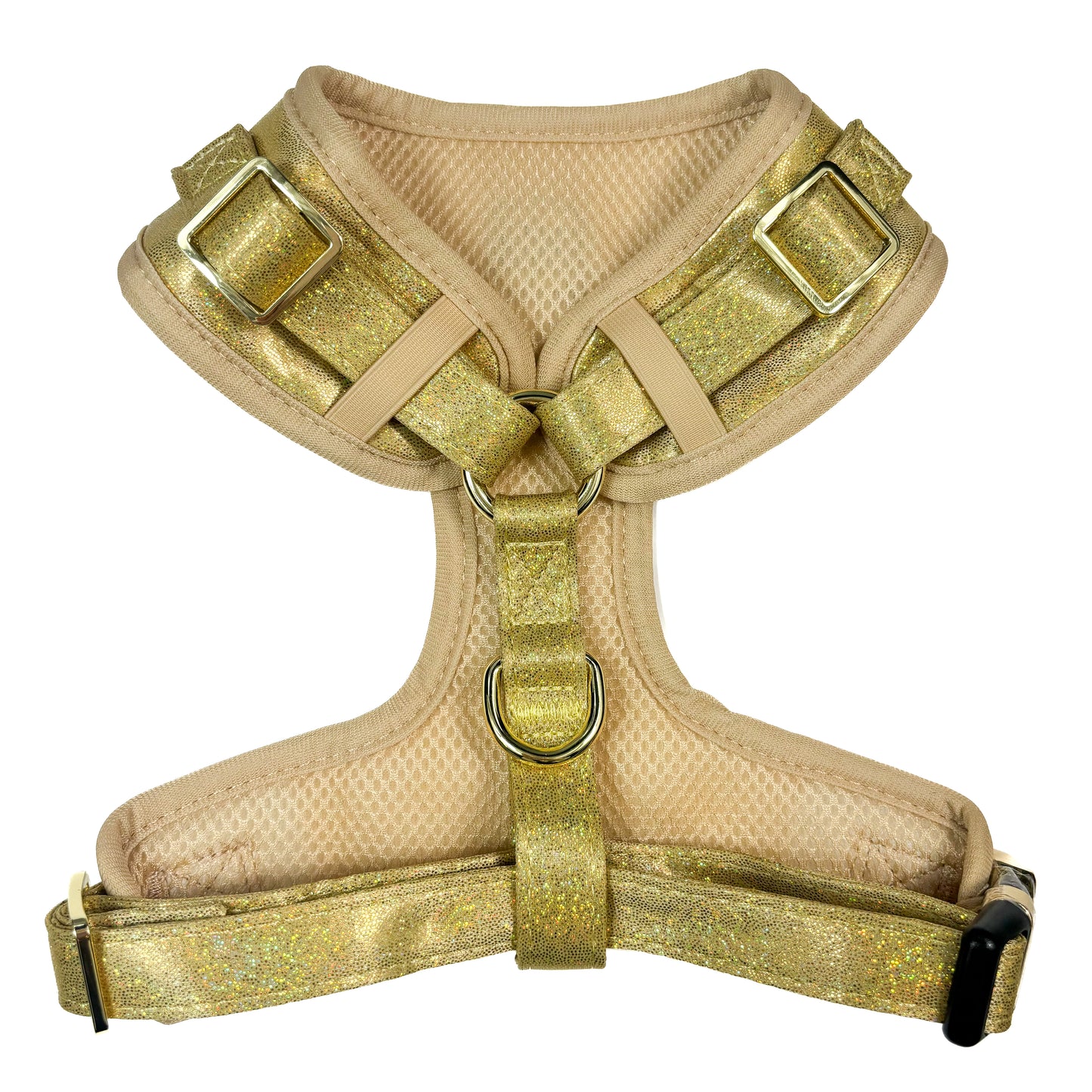 Champagne Party Deluxe Adjustable Harness & Lead Bundle