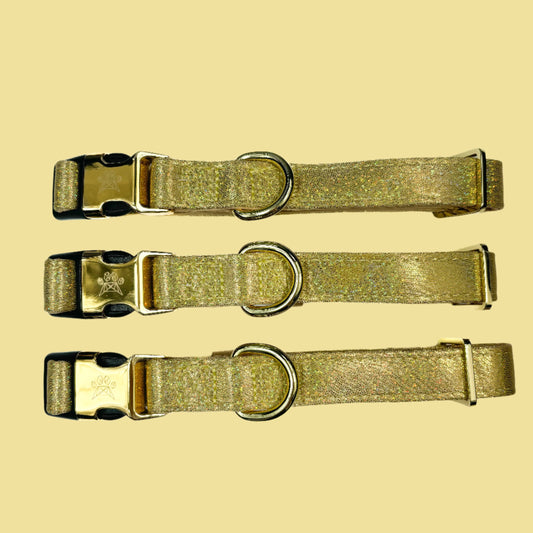 Champagne Party Deluxe Collar