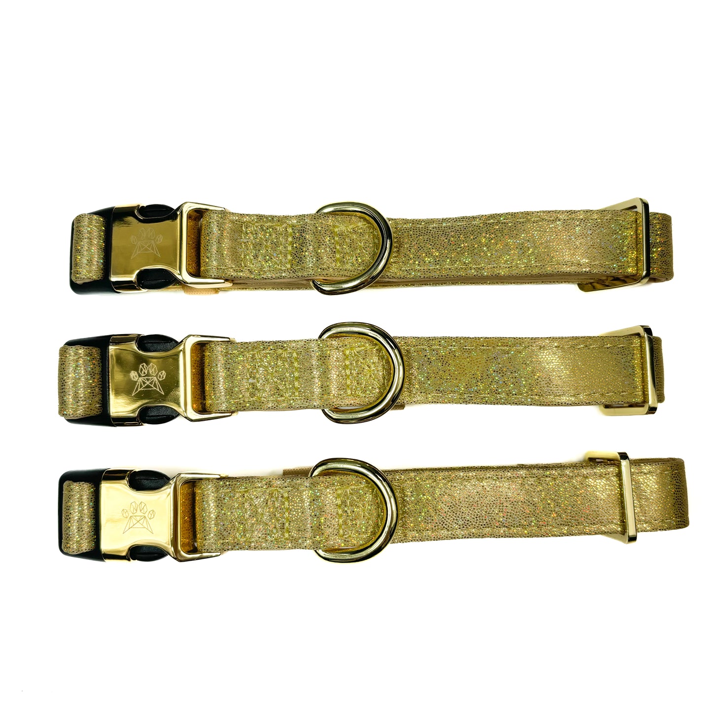 Champagne Party Deluxe - Collar & Lead Bundle