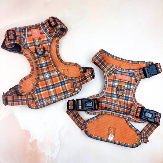 Rustic Plaid TrailBlazer Harness