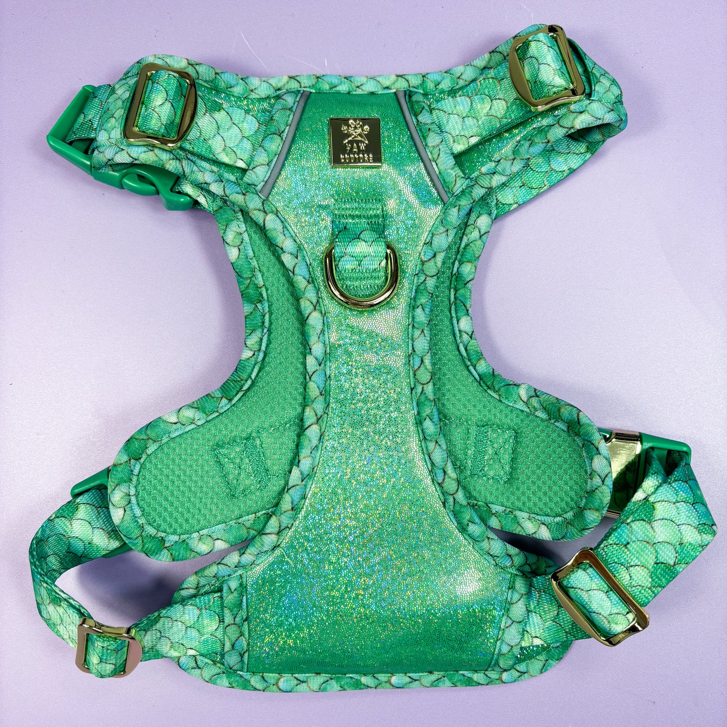 Fantasy Deluxe TrailBlazer Harness & Lead Bundle