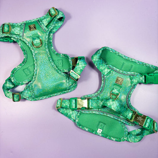 Fantasy Deluxe TrailBlazer Harness