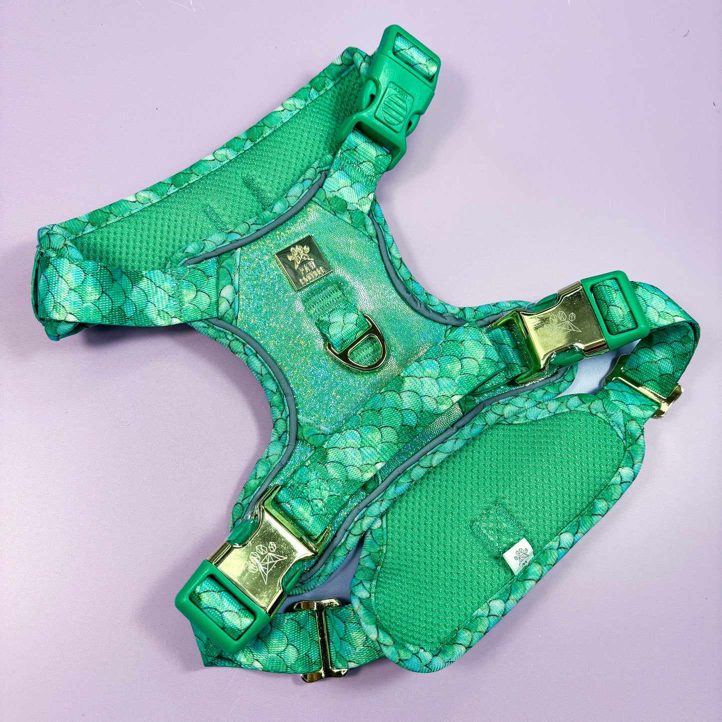 Fantasy Deluxe TrailBlazer Harness & Lead Bundle