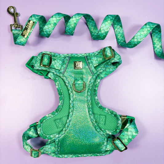 Fantasy Deluxe TrailBlazer Harness & Lead Bundle