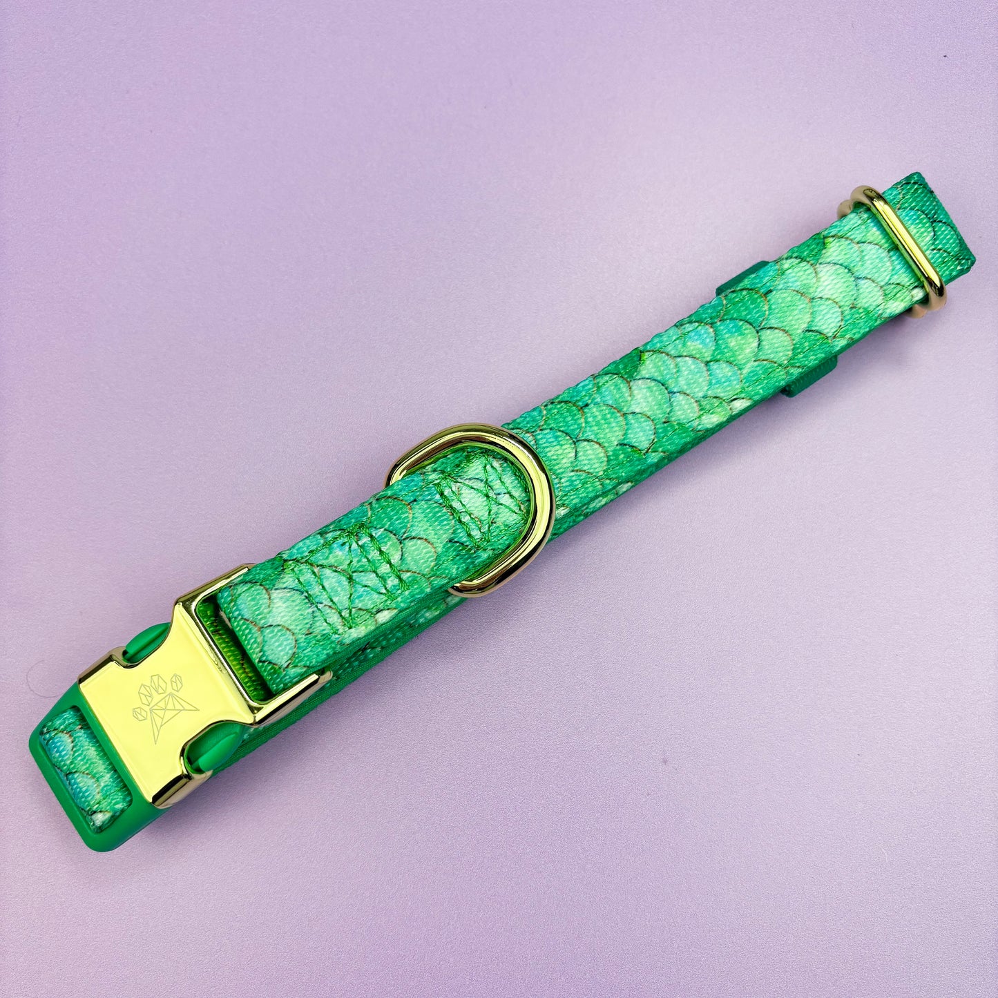 Fantasy Deluxe - Collar & Lead Bundle