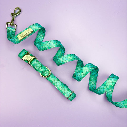Fantasy Deluxe - Collar & Lead Bundle