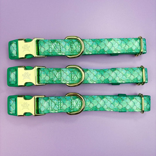 Fantasy Deluxe Collar