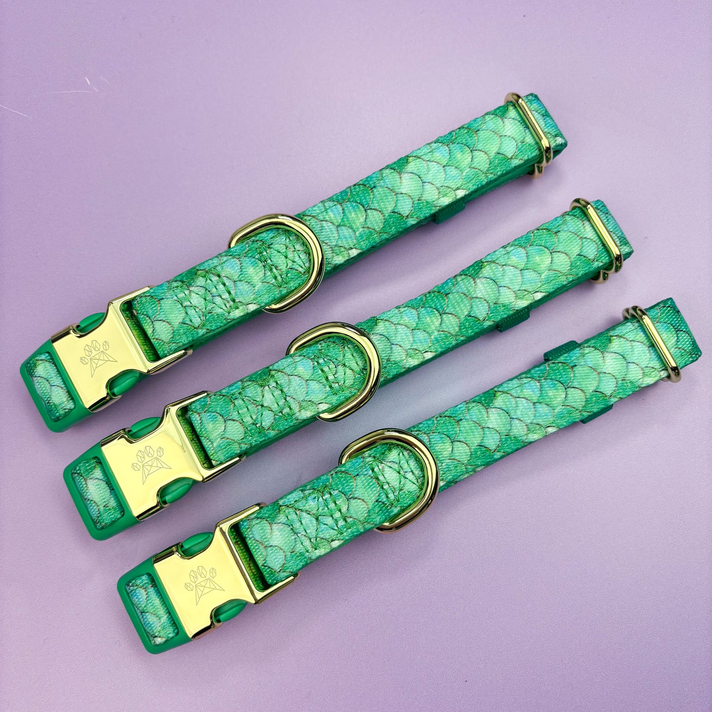 Fantasy Deluxe - Collar & Lead Bundle