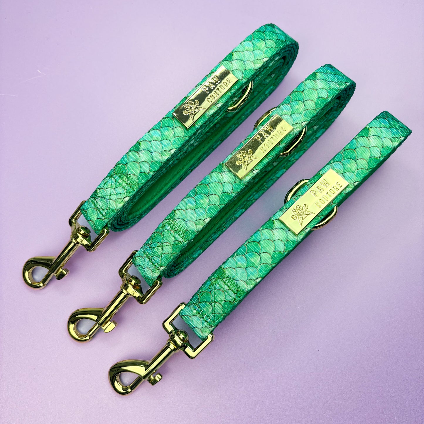 Fantasy Deluxe - Collar & Lead Bundle