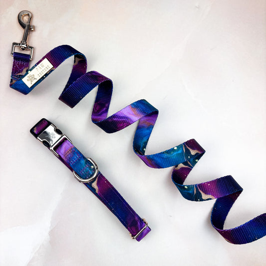 Cosmos Deluxe - Collar & Lead Bundle