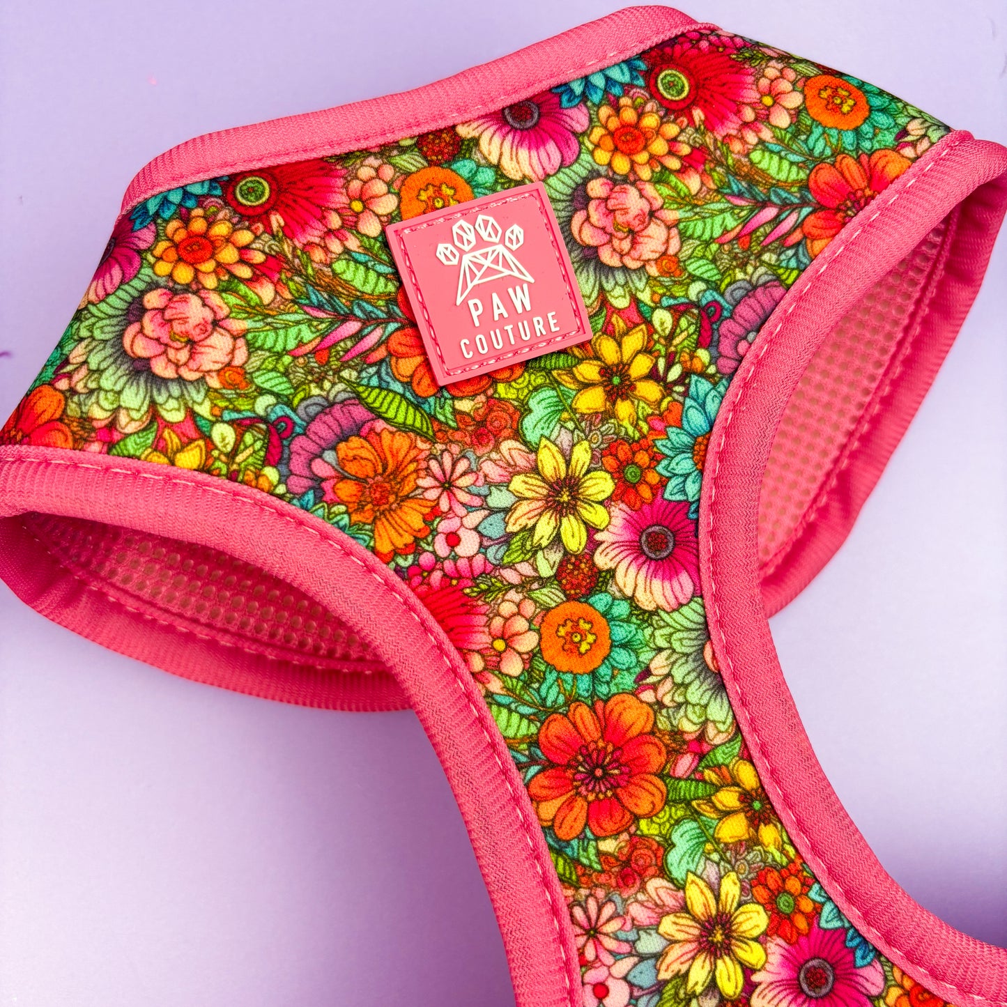 Floral Fiesta Adjustable Harness & Lead Bundle