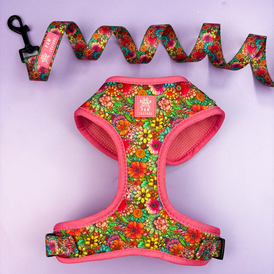 Floral Fiesta Adjustable Harness & Lead Bundle