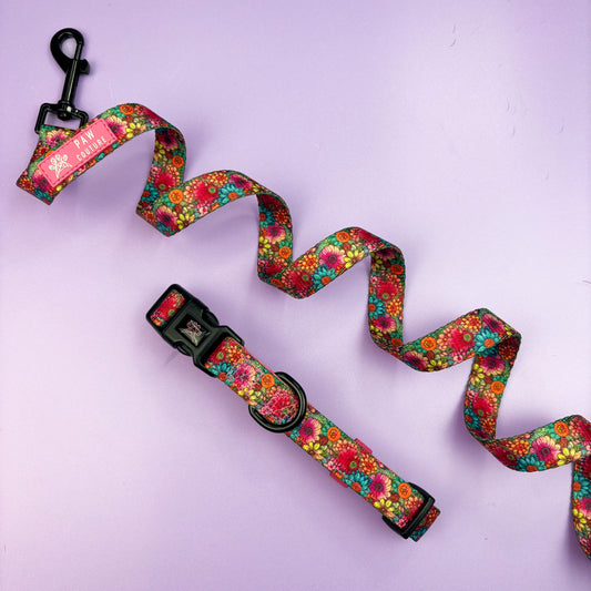 Floral Fiesta - Collar & Lead Bundle