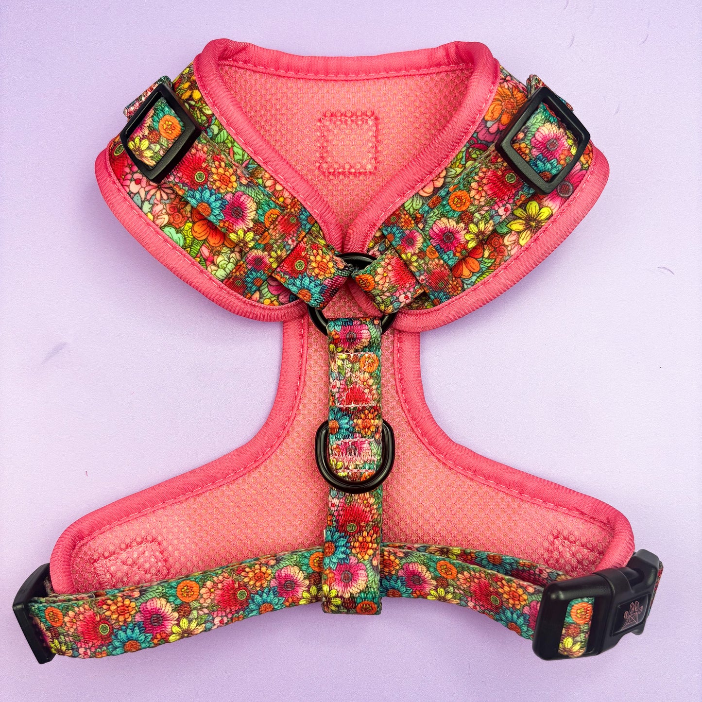 Floral Fiesta Adjustable Harness & Lead Bundle