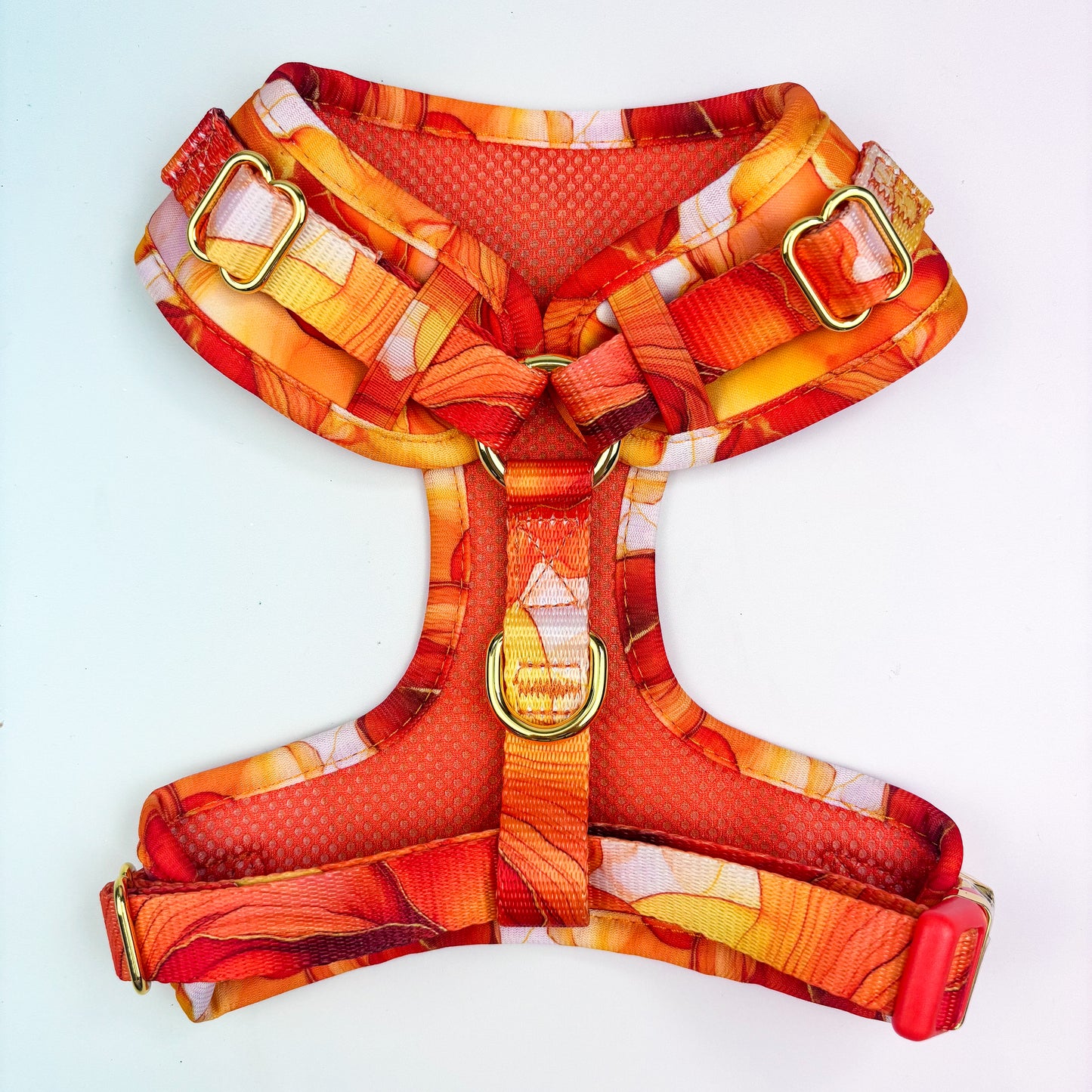 Sunset Agate  Deluxe Adjustable Harness & Lead Bundle