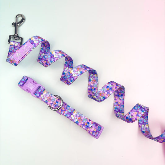 Confetti - Collar & Lead Bundle - SHIPS FROM 30/10