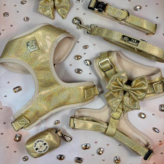Champagne Party Deluxe Five Piece Walkies Bundle - Save £20