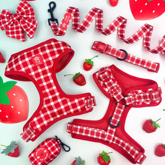 Picnic Plaid Five Piece Walkies Bundle - Save £20
