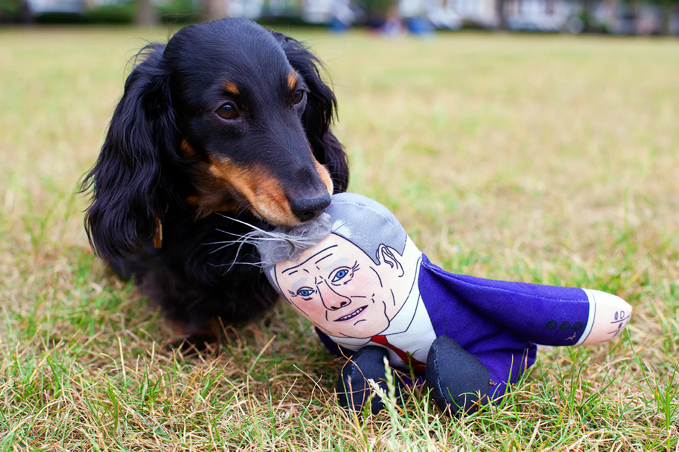 Keir Starmer Dog Toy by Pet Hates Toys