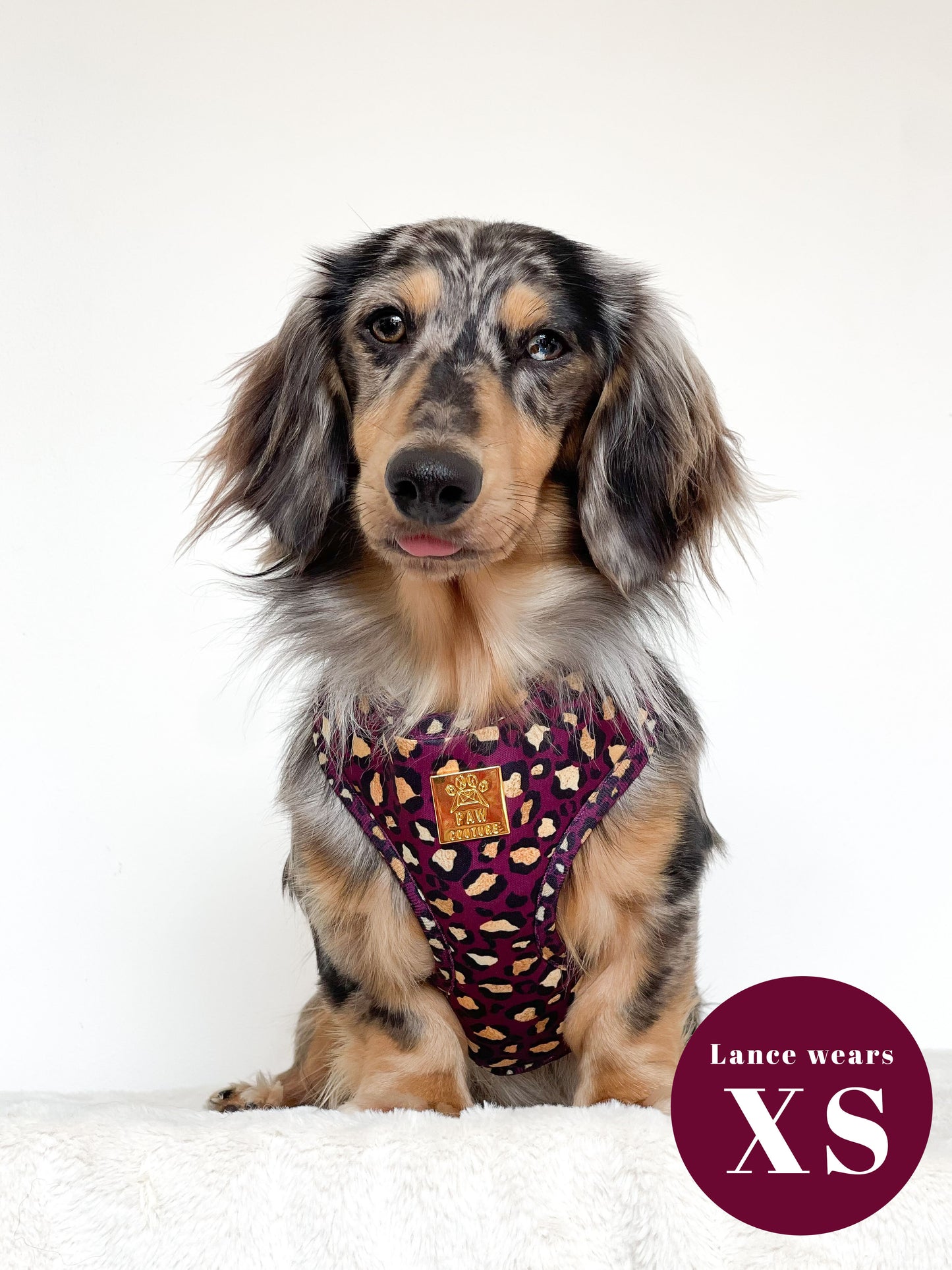 Amethyst Safari Deluxe Adjustable Harness