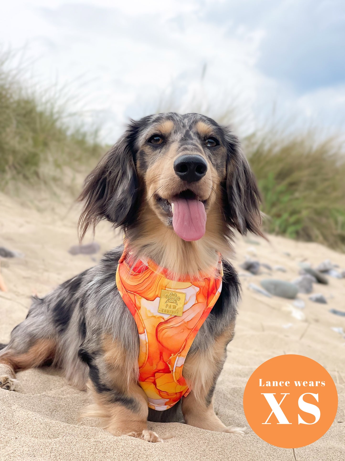 Sunset Agate  Deluxe Adjustable Harness & Lead Bundle
