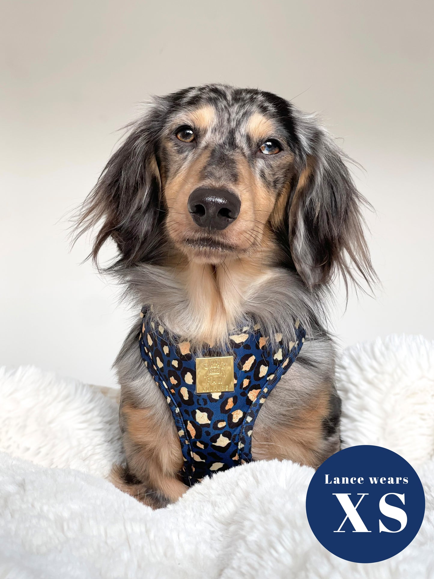 Sapphire Safari Deluxe Five Piece Walkies Bundle - Save £20